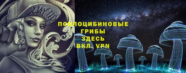 крисы Аркадак