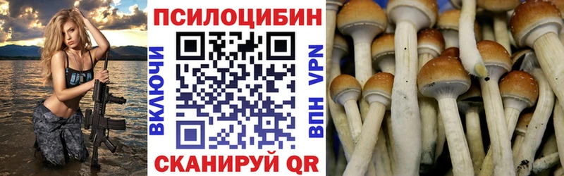 закладки  Микунь  Галлюциногенные грибы прущие грибы 